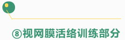 脑屏照相记忆——视网膜活络训练视频简介